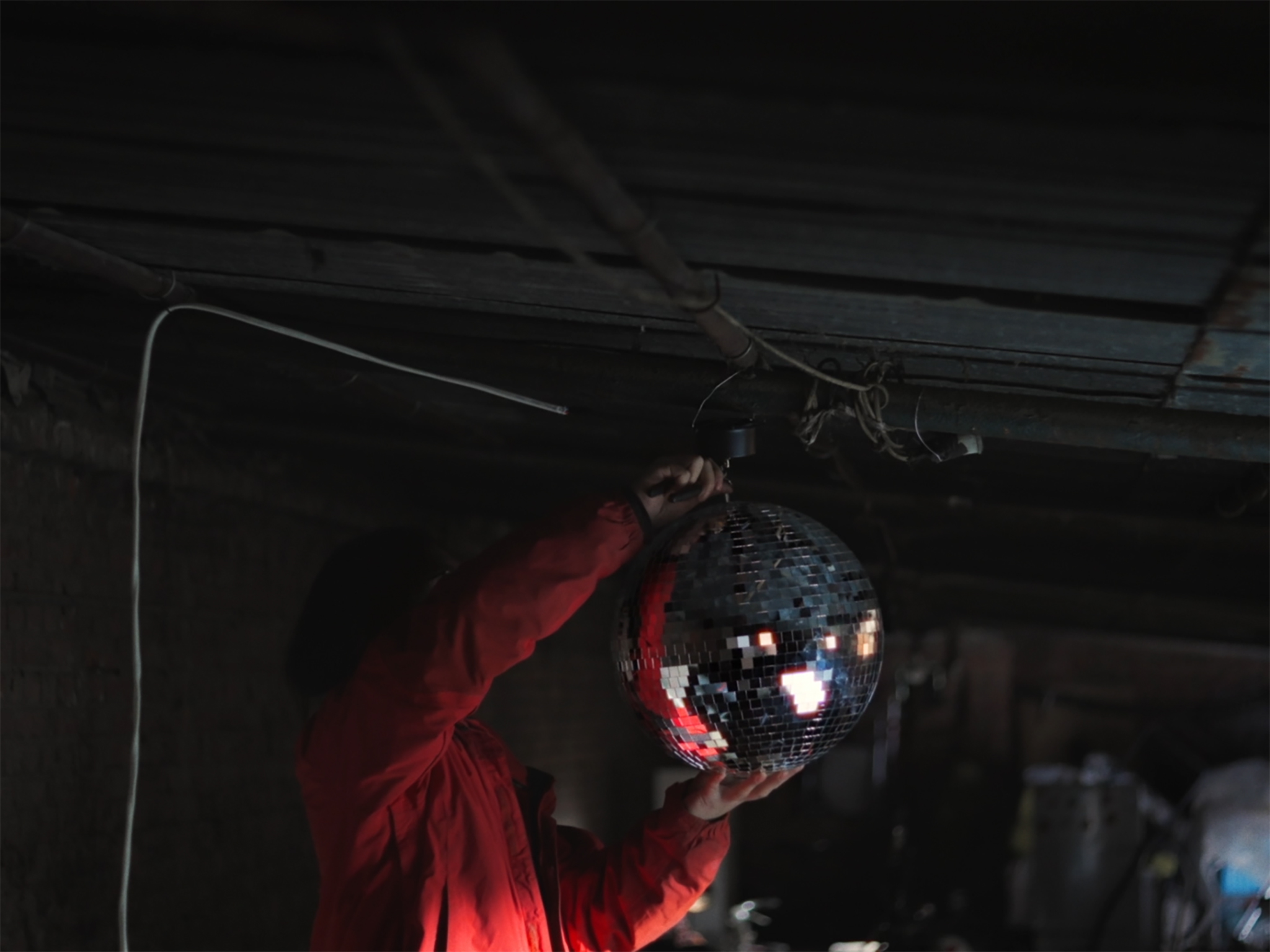 STRAYS, STREETS — image 1