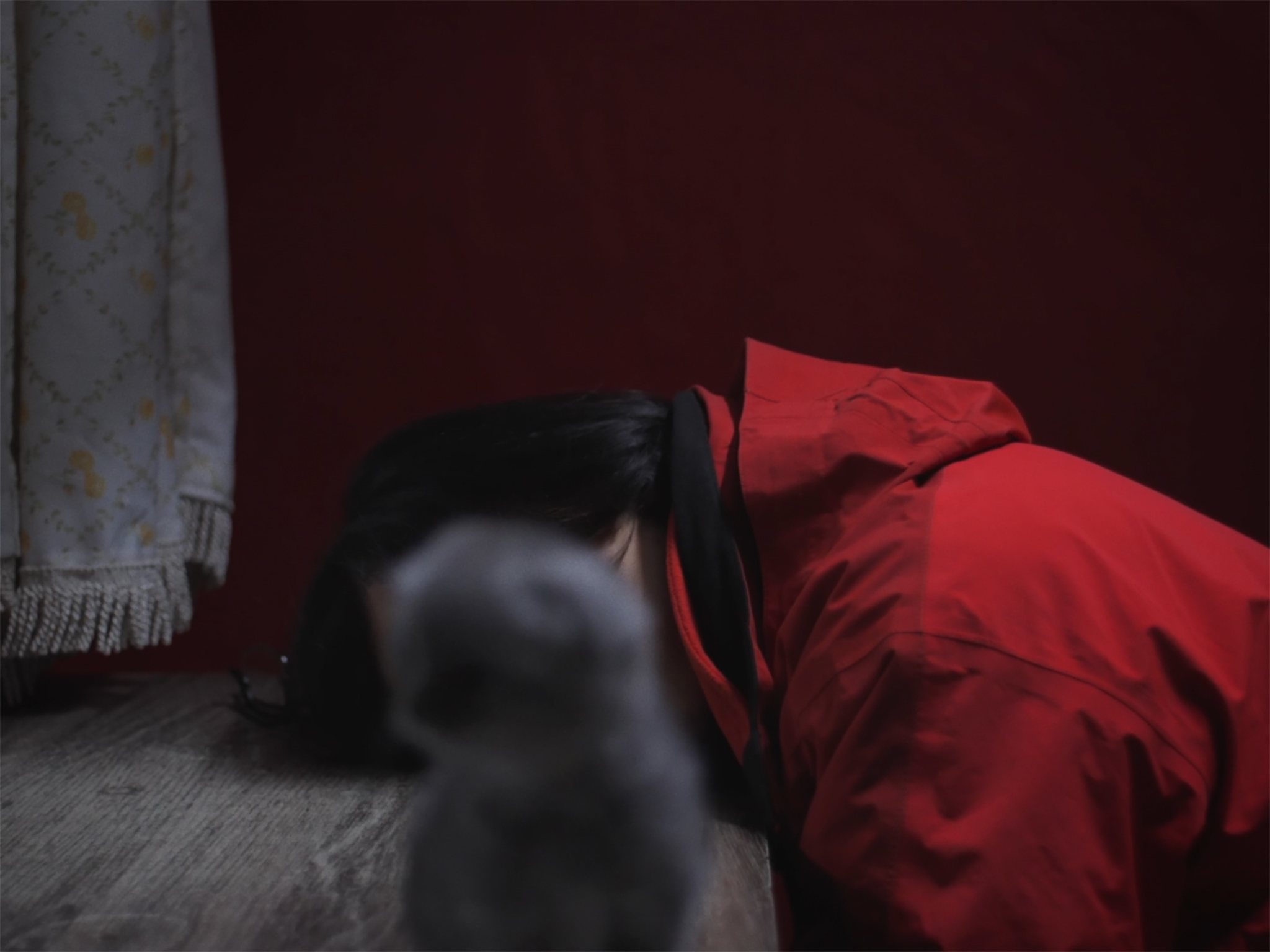 STRAYS, STREETS film still 4